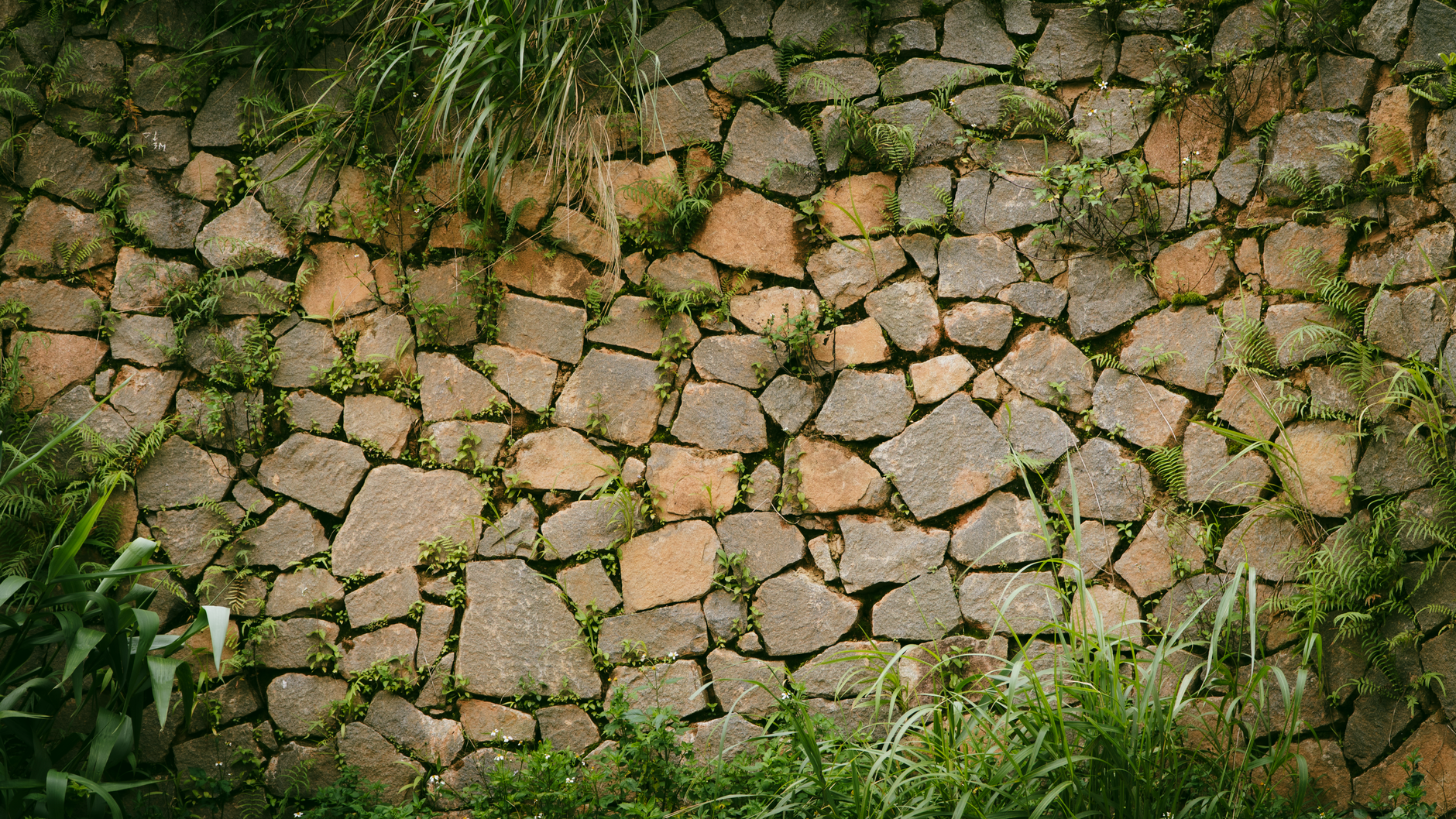 Havemur i natursten langs haveindgang
